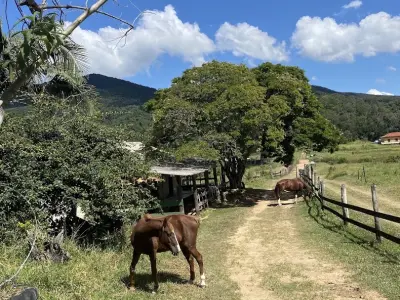 Fazenda Ribeirão - Serra do Japi