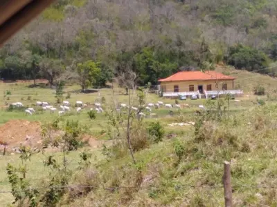 Fazenda Ribeirão - Serra do Japi