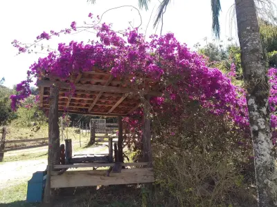 Fazenda Ribeirão - Serra do Japi