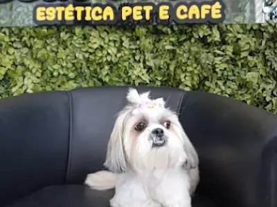 Pet Shop João e Maria