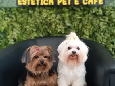 Pet Shop João e Maria